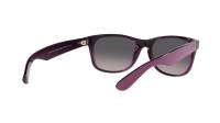 Ray-Ban New wayfarer RB2132 6606/M3 52-18 Matte Violet On Transparent