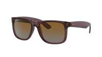 Ray-Ban Justin RB4165 6597/T5 51-16 Transparent Dark Brown