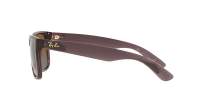 Ray-Ban Justin RB4165 6597/T5 51-16 Transparent Dark Brown