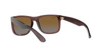 Ray-Ban Justin RB4165 6597/T5 51-16 Transparent Dark Brown