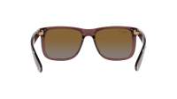 Ray-Ban Justin RB4165 6597/T5 51-16 Transparent Dark Brown