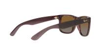 Ray-Ban Justin RB4165 6597/T5 51-16 Transparent Dark Brown