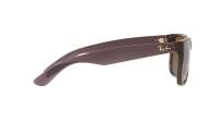 Ray-Ban Justin RB4165 6597/T5 51-16 Transparent Dark Brown