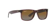 Ray-Ban Justin RB4165 6597/T5 51-16 Transparent Dark Brown