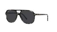 Ray-Ban Bill RB2198 1333/48 60-14 Grey Havana