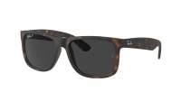 Ray-Ban Justin RB4165 865/87 55-16 Rubber Havana