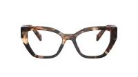 Prada PR A16V 14P-101 51-18 Caramel Tortoise