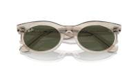 Ray-Ban Wayfarer oval Change Collection RB2242 1383/31 53-22 Photo waves grey