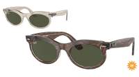 Ray-Ban Wayfarer oval Change collection RB2242 1383/31 53-22 Photo waves grey