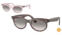 Ray-Ban Wayfarer oval Change Collection RB2242 1384/32 53-22