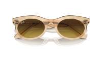 Ray-Ban Wayfarer oval Change Collection RB2242 1386/85 53-22 Photo waves brown