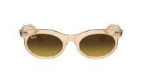 Ray-Ban Wayfarer oval Change Collection RB2242 1386/85 53-22 Photo waves brown