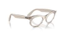 Ray-Ban Wayfarer oval Change Collection RB2242 1383/GG 53-22 Photo waves grey