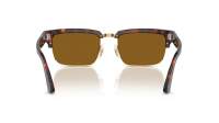 Persol PO3354S 24/33 54-20 Tortoise Brown/Gold