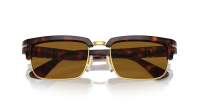 Persol PO3354S 24/33 54-20 Tortoise Brown/Gold