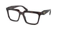 Prada PR A19V 17N-1O1 54-18 Root tortoise