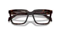 Prada PR A19V 17N-1O1 54-18 Root tortoise