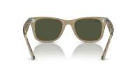 Ray-Ban Original wayfarer Change collection RB2140 1387/31 50-22 Photo striped grey