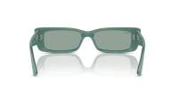 Ray-Ban Teru RB4425 6762/82 54-17 Algae green