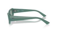 Ray-Ban Teru RB4425 6762/82 54-17 Algae green