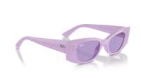 Ray-Ban Kat RB4427 6758/1A 49-20 Lilac