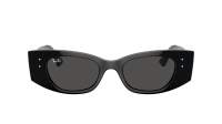 Ray-Ban Kat RB4427 6677/87 49-20 Schwarz