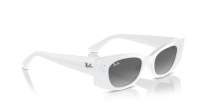 Ray-Ban Kat RB4427 6759/11 49-20 Blanc