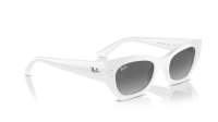 Ray-Ban Zena RB4430 6759/11 49-22 White snow