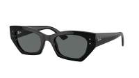 Ray-Ban Zena RB4430 6677/81 49-22 Black