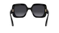 DIOR Cdior CDIOR S2I 10A1 52-21 Black