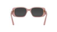 DIOR DIORSIGNATURE S12I 40A0 53-18 Rosa