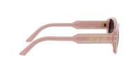 DIOR DIORSIGNATURE S12I 40A0 53-18 Rose