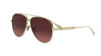 DIOR DIORCANNAGE A1U B0F2 61-11 Or