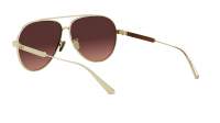 DIOR DIORCANNAGE A1U B0F2 61-11 Or