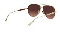 DIOR DIORCANNAGE A1U B0F2 61-11 Gold