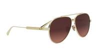 DIOR DIORCANNAGE A1U B0F2 61-11 Or