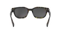 DIOR Icon CD ICON S1I 20A4 54-19 Tortoise