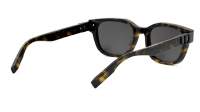 DIOR Icon CD ICON S1I 20A4 54-19 Tortoise