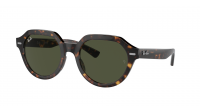 Ray-Ban Gina RB4399 902/31 53-21 Havana