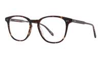 Garrett Leight Whitney 1163 AGT 49-20 Agate Tortoise