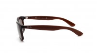 Ray-Ban Andy Brown Matte RB4202 6073/13 55-17 Medium Gradient