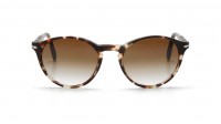 Persol PO3092SM 9005/51 50-19 Écaille