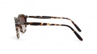 Persol PO3092SM 9005/51 50-19 Écaille