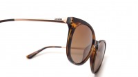 Guess GU7503 52H 52-20 Tortoise Medium Polarized