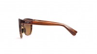 Maui Jim Starfish Brun HCL Bronze HS744 01T 56-15 Medium Polarized Dégradés