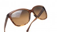 Maui Jim Starfish Brun HCL Bronze HS744 01T 56-15 Medium Polarized Dégradés