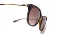 Guess GU7503 52F 52-20 Tortoise Medium Gradient