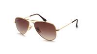 Ray-Ban Aviator RJ9506S 223/13 52-14 Gold