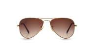 Ray-Ban Aviator RJ9506S 223/13 52-14 Gold