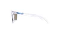 Oakley Frogskins Crystal clear Clear Prizm OO9013 D0 55-17 Medium Mirror